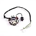 CISNO Complete Electrics Wiring Harness Wire Loom Magneto Stator for GY6 4-Stroke Engine Type 125CC 150CC Pit Bike Scooter ATV Quad