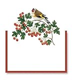Place Card Pak of 8 Die Cut Winter Birds