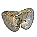 2018-Freshwater Cultured Love Wish Pearl Oyster with Round Pearl Inside 20 Colors (Random Color 20 PCS 7-8mm)