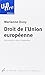 DROIT DE L UNION EUROPEENNE 6 ED REVUE (UBLIRE) by