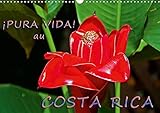 !Pura Vida! au Costa Rica 2020: Costa Rica - un pays merveilleux avec une nature magnifique (Calvend by