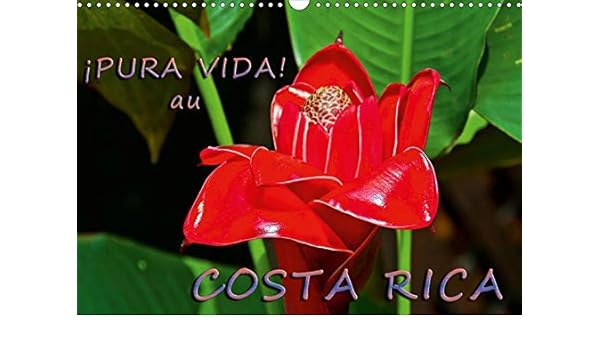 Pura Vida Au Costa Rica 2020 Costa Rica Un Pays