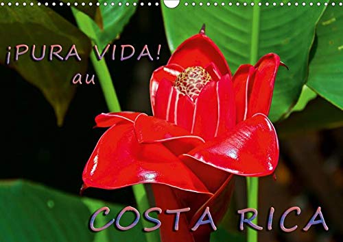 !Pura Vida! au Costa Rica 2020: Costa Rica - un pays merveilleux avec une nature magnifique (Calvend by