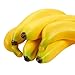 Juvale Set of 6 Individual Fake Fruit Bananas - Artificial Fruit Plastic Bananas for Still Life Paintings, Storefront Decoration, Kitchen Decor, Yellow, 8 x 3.7 x 1.5 Inches