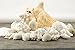 White Decorative Sea Shell Mix with Conch Shell | 6-8