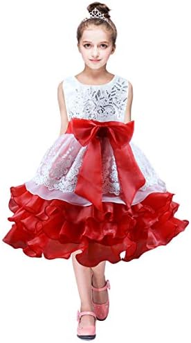 TYQQU Girl's Sequin Sleeveless Dress Short Ruffle Dress Round Neck Embroidery Prom Dress