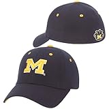 Zephyr Michigan Wolverines ZH Fit Cap