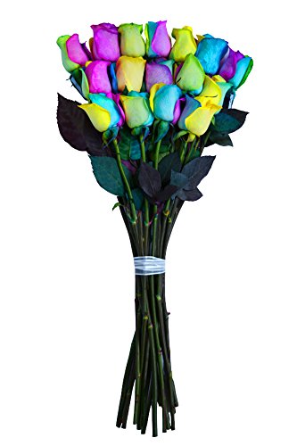 Rainbow Roses Bouquet by Flower Explosion | Fresh Tinted Rainbow Roses - 12 Stems