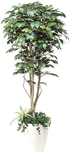 造花 観葉植物 植栽デザイン 光触媒 空気清浄 インテリアグリーン 鉢植え フィカスベンジャミン 180cm Townofgreenwood