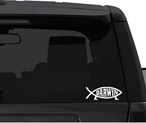 Darwin Evolution - Car Window Decal