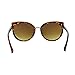 Mio Eyewear [Cateye - Brown Gradient] Fashion Sunglasses for Woman (100% UV Protection) - Marble Brown