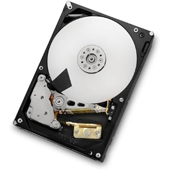HGST HGST Ultrastar 7K4000 4 TB 3.5" 7200 RPM SATA Internal Enterprise Hard Drive 64 MB Buffer 6.0Gb/s - HUS724040ALA640 / 0F14688 64 MB Cache 3.5-Inch Internal Bare or OEM Drives 0F14688