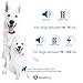 GoodBoy Small Size Remote Collar for Dogs with Beep Vibration and Shock Modes for Pet Behavior Training – Waterproof & 1000 Feet Range – Suitable for Small, Medium or Large Dogs (10+ lbs)thumb 2