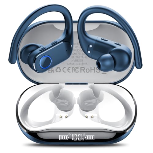 Wireless Earbuds Dual Battery Display