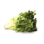 Green giant iceberg lettuce 1ctr (605806000294)