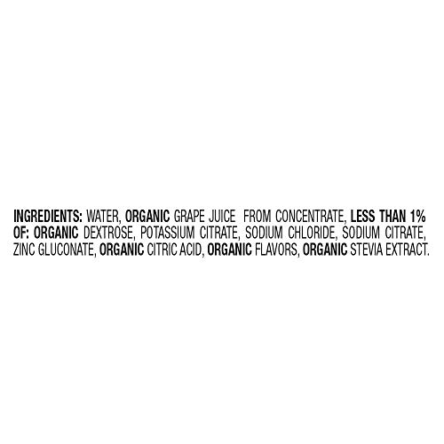 2 Earths+Best+Organic+Electrolyte+Solution
