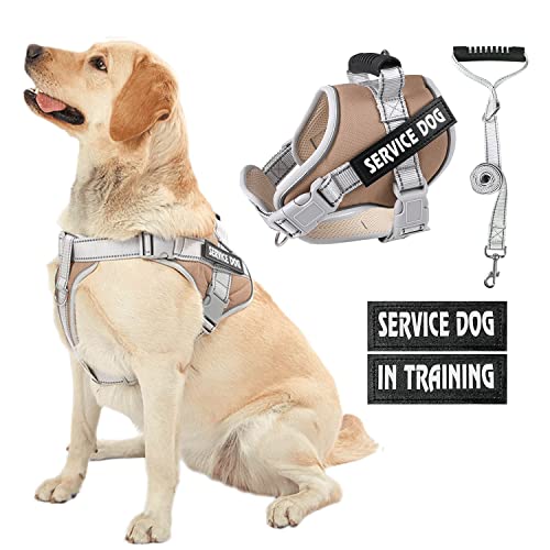 Photo 1 of HUSDOW Service Dog Vest Harness, No Pull in Trainning Dog Harnesses with Handle & 5ft Dog Leash, Adjustable and Reflective No Chock for Small Medum Large Pets Walking and Running(Brown, M)