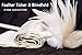 FIRESALE! 80% OFF! Bondageromance Restraint, Bondageromance Kit for Couples Prime, Bondageromance Restraint Kit for Sex Play | Upscale Fetish Gear for Women by Dalliance Adult | Gift Packaged - White