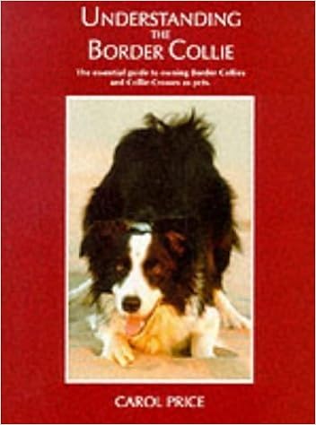 carol price border collie
