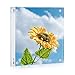 ONE WALL Acrylic Picture Frames 5x5 inches, Clear Double Sided Magnetic Photo Block Frame, Frameless Self Standing for Tabletop Desktop Display