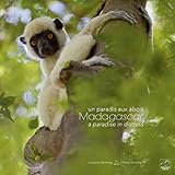 Madagascar un Paradis aux Abois - Madagascar a Paradise in Distress by