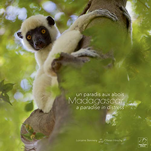 Madagascar un Paradis aux Abois - Madagascar a Paradise in Distress by Bennery Lorraine (Hardcover)