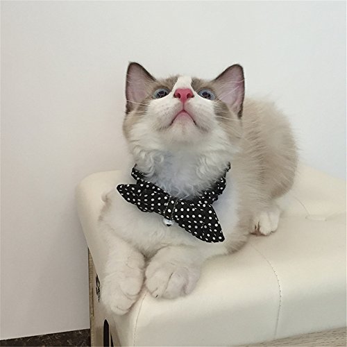 Cat Collar Bowtie with Reflective Bell, Comfortable Adjustable Breakaway Pet Cat Collars 7-12 inch