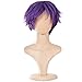 Ecvtop Wigs for Mens' Death Note Male Short Hair Wig Costume Cosplay Wigs (Purple)