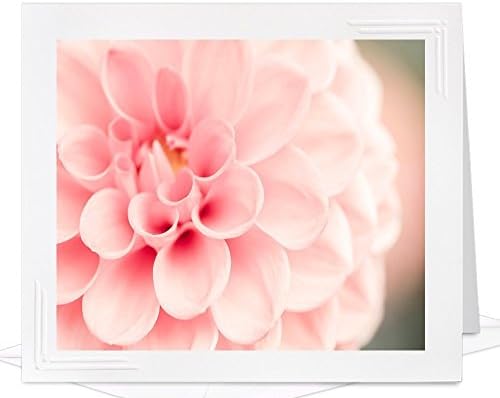 Artisan Greeting Card of Pink Dahlia Flower - frameable metallic photo