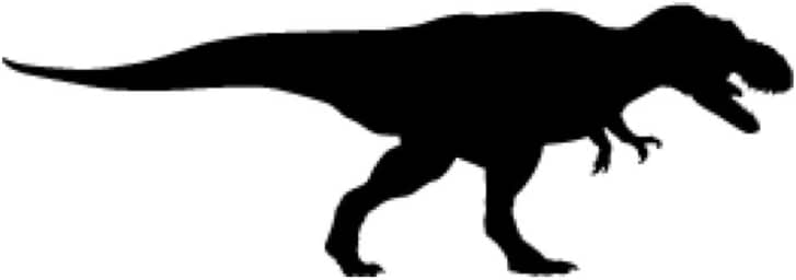 Amazon.com: Tyranasaurus Rex, T-Rex Stencil Made From 4 Ply Matboard