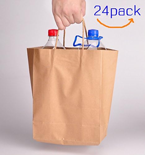 OrangeABC Kraft Paper Gift Bags with Handles (Brown, Medium)