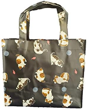SturdyFoot Small Bookbag, Lunch Bag, Tote Bag, Shopping Bag, Gym bag, Oilcloth tote, PVC-coated Tote Bags
