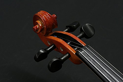 Stentor 1500-4/4 Student II Violin Outfit- Size 4/4 with Zorro Sounds Violin Polishing Cloth