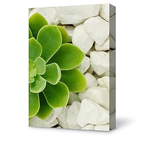 Canvas Wall Art Plant Succulents Plant Office Canvas Painting Wall Poster Decor for Living Room Wooden Framed Home Decorations - 12x18 inches