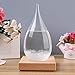 Storm Glass Weather Predictor -Weather Forecaster Weather Station Creative Crystal Glass Bottle Desktop Drops Craft Weather Station with Pure Wood Base -High Class Decoration on Home & Office (Large)