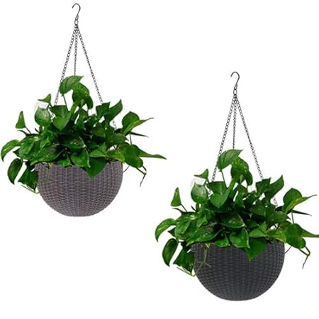 Antier (Brown and Black) 2 pcs Round Plastic Resin Chain Basket Hanging Planter Hanging Flowers and Plants,Growers