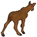 Safari Ltd. North America Wildlife Collection - Moose Calf Figurine Non-toxic and BPA Free