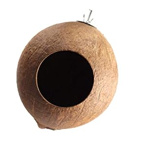 Balacoo Nido di Uccello Domestico Delicato Ciondolo Conchiglia di Cocco Naturale Nido di Uccello Artigianato Nido… - immagine 6