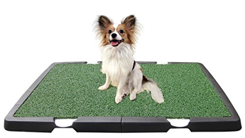 Spotty Indoor Dog Potty - Thumbnail 5