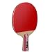 DHS Ping Pong Table Tennis Racket Paddle Bat 4 Star Penhold Short Handle Double Pimples-in Bat 4006 with Landson Support