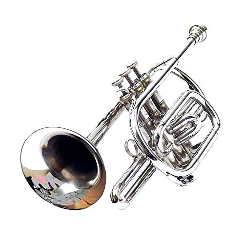 NASIR ALI NEW STUDENT MODEL INDIA Co-01, Cornet, Bb, Nickel