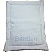 Personalized Dog Kennel Mat - Large or Small Pad, Cute Washable Bed Cushion - Cats or Dogs (Large)