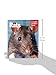 Rats: Everything About Purchase, Care, Nutrition, Handling, and Behavior (Complete Pet Owner's Manual)