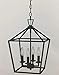 Trans Globe Imports 10264 ROB Transitional Four Light Pendant from Lacey Collection in Bronze/Dark Finish, 12.00 inches