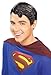 Rubies womens Dc Heroes and Villains Collection Superman Deluxe Vinyl Wig Party Supplies, Multi Color, One Size US