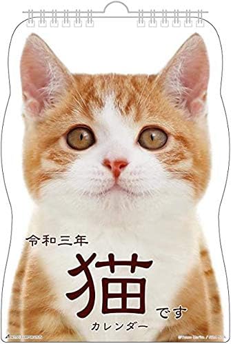 Amazon カレンダー21年度先取り アクティブコーポレーション 21年 カレンダー 壁掛け 猫 アニメ 萌えグッズ 通販