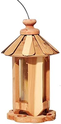 Amazon Com Mxueei Zfgg The Bird Feeder Park Garden Home Bird