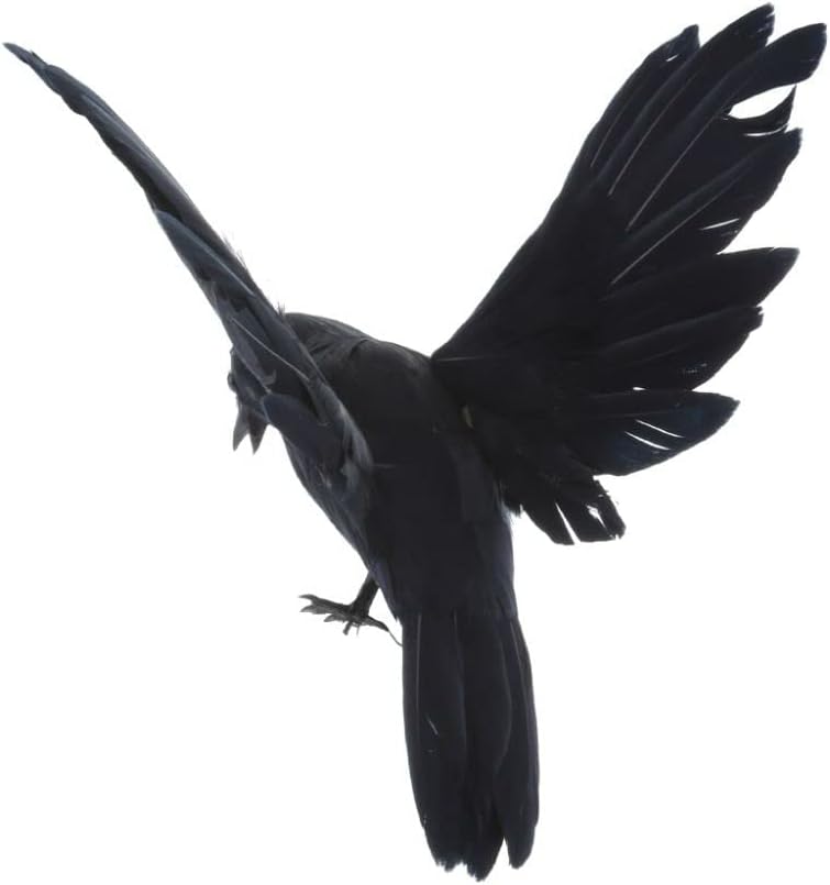 Holiday Décor Storage - CHDHALTD Black Crows,Small Realistic Crows- Black Decor Feathered Crows Decoy,Black Feathered Crow for Halloween Decorations Birds,Home Decor Art Bird Statue