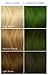 ARCTIC FOX Vegan and Cruelty-Free Semi-Permanent Hair Color Dye (4 Fl Oz, PHANTOM GREEN)