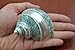 Polished Green Jade Banded Turbo Sea Shell 3
